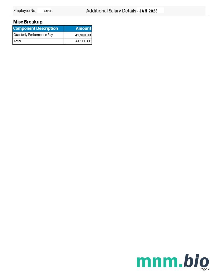 Tata Consultancy Services payslip template in Word and PDF formats, 2